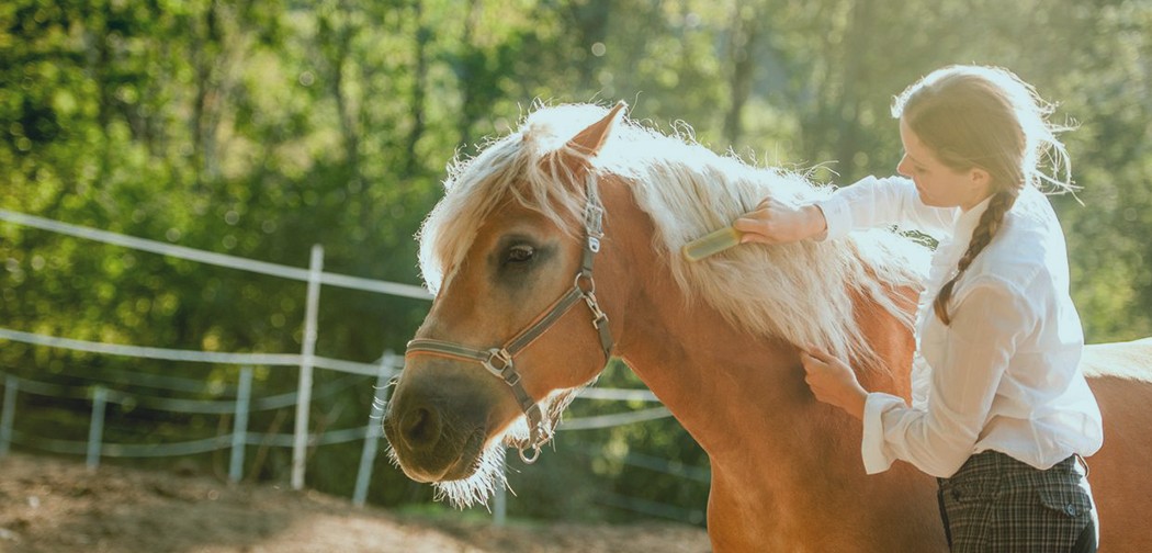 Terapia con caballos